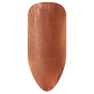 Biogel Stix No. 169 (X1)