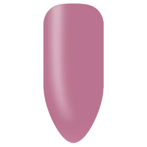 Biogel Stix No. 271 (X1)