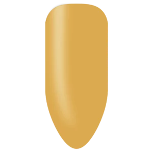 Biogel Stix No. 309 (X1)
