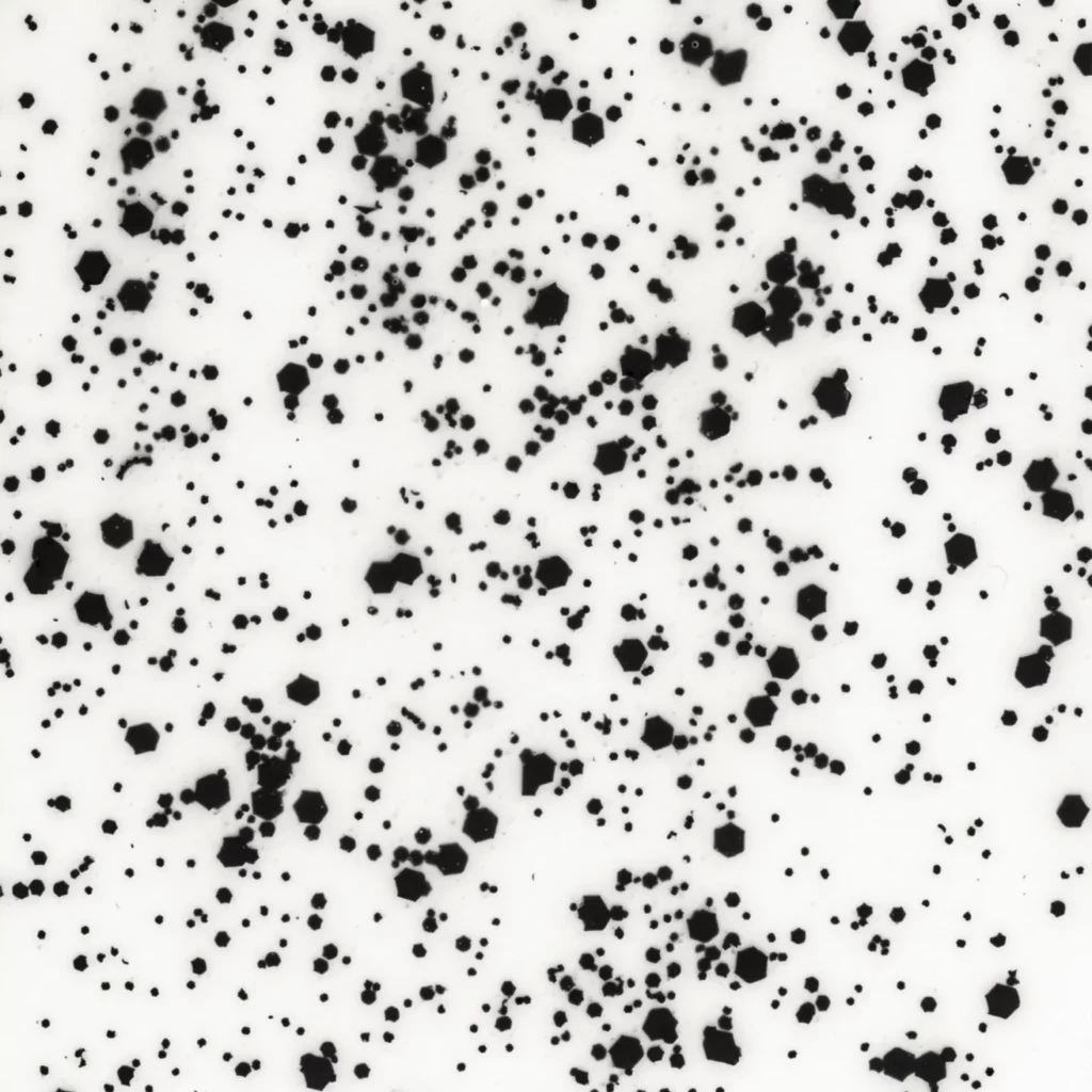 evo speckled black top coat
