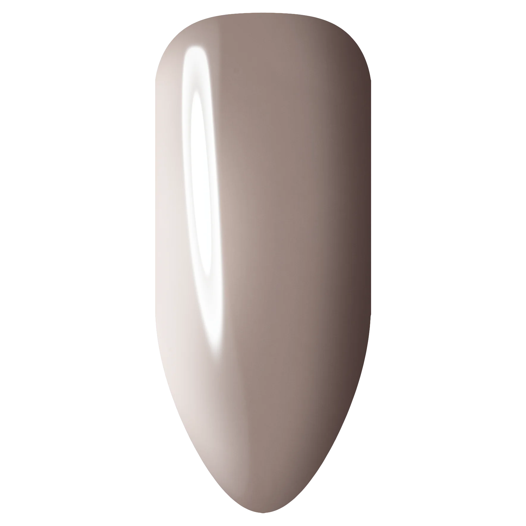 191 Delphine stix