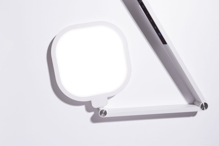 Bio Sculpture Desk Lamp
